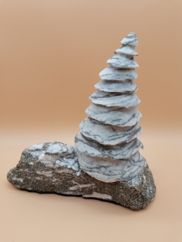 Preview: „Zaubertanne“